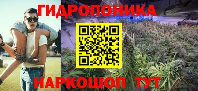 spice Брянск