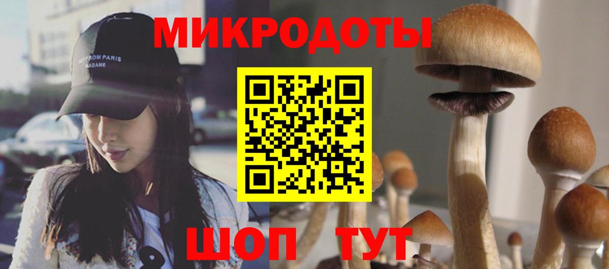 Псилоцибиновые грибы GOLDEN TEACHER  Галлюциногенные грибы Magic Shrooms  Вход с VPN  даркнет сайт  Вязники 